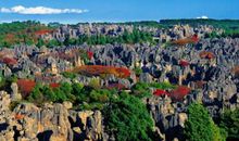 美丽神奇的石林