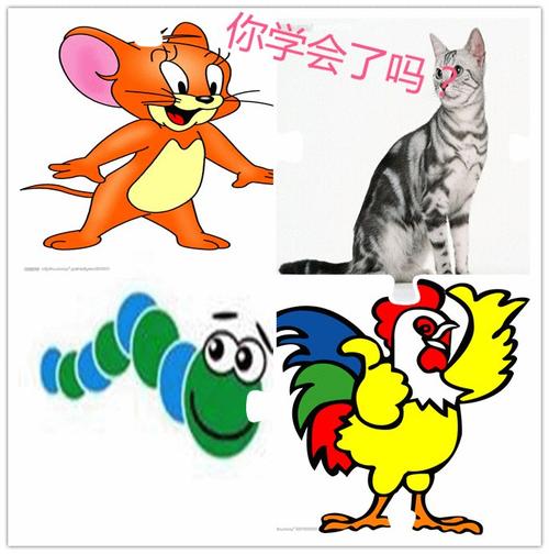 猫给了我鼠标的启示