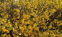 留在心底的那份温暖