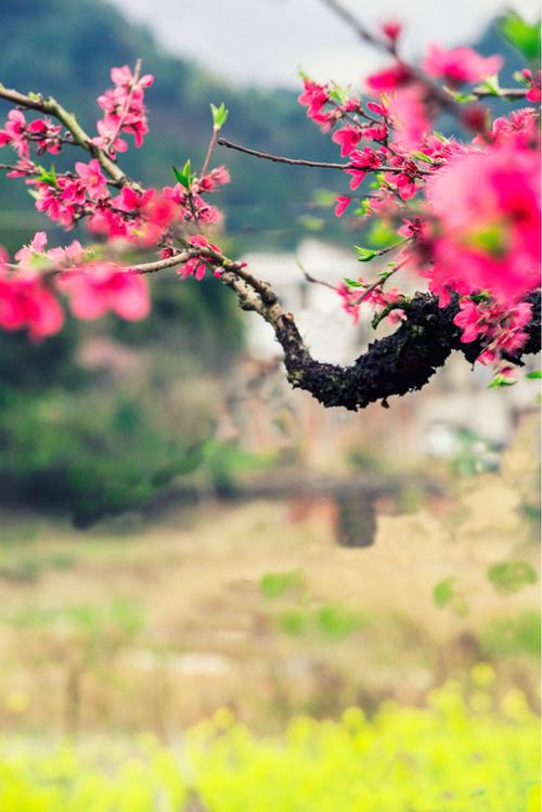 温暖的季节
