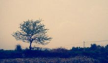 从来没有这样孤独