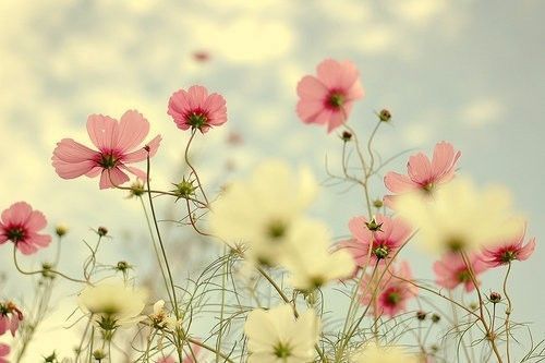 生活就像四个季节
