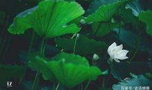 永存心间的乡土