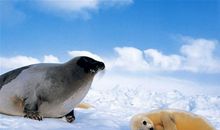 在享受亲情中成长