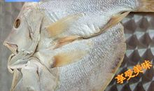 揣起坚持往前奔