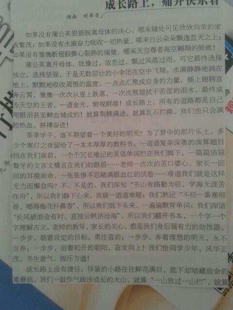 我未来的组成600字