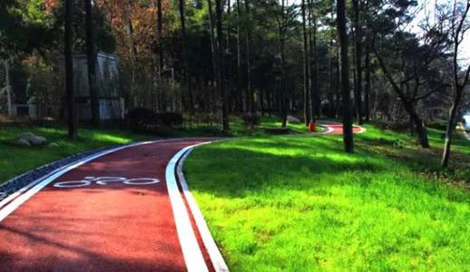 绿色道路