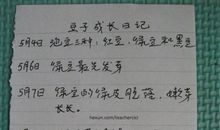 她的成长令我感动