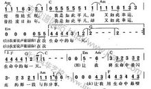 我的生命里有音乐