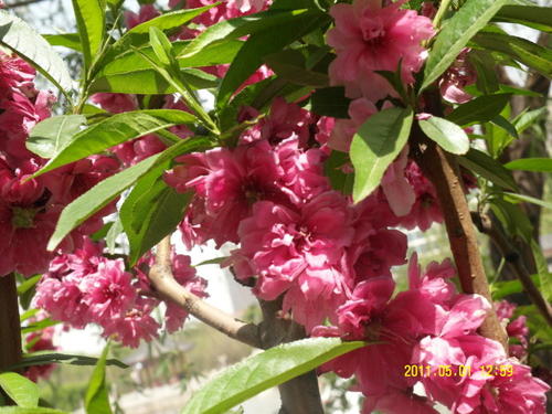 我学会了拍照。