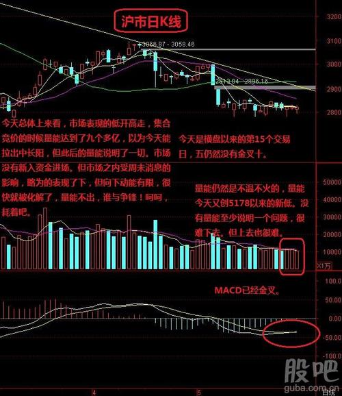 爱你并不容易。