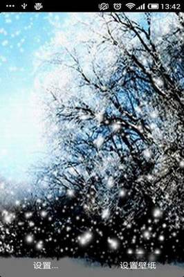 飞雪花
