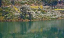 面朝溪流春暖花开