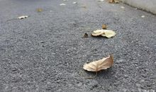 听听那时光的声音