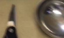 梦想从那个夏天起航