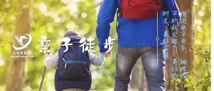 我理解自然的力量。