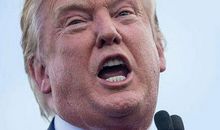 与理想死磕到底