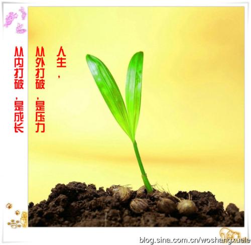 让我们在校园里成长