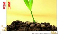 让我们在校园里幸福成长