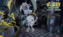 小猴和小狗的大冒险