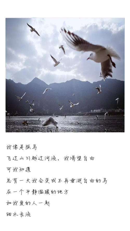 我的自由，我会订购