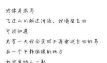 我的自由我来定