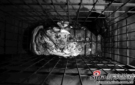 它被监禁或自由吗？