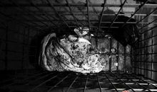 是禁锢，还是自由？