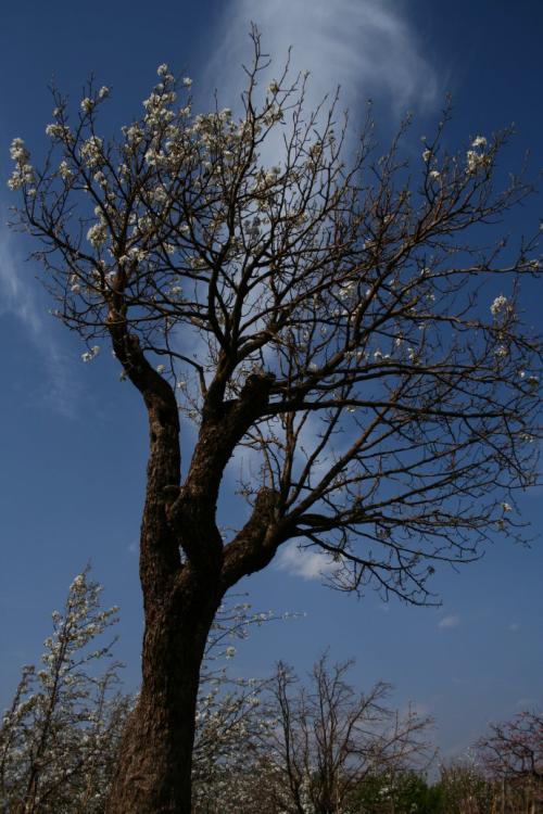 山上的阳光