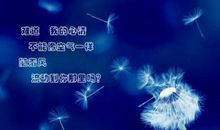 不需要语言的爱