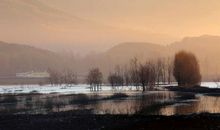 茫茫冬雾中的一盏灯