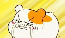 没有上补习班的时候