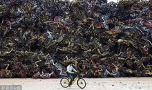 共享真的方便吗？