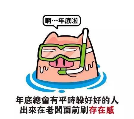 在规则面前，我没有鞠躬。