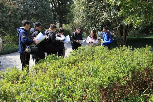 记得学校