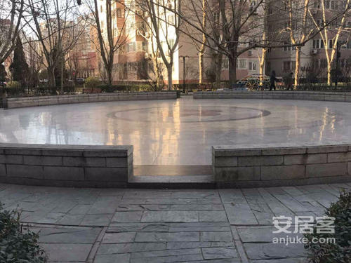 杨树在医院