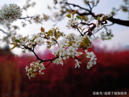 春天谢谢你