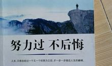 努力就不后悔