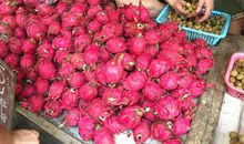 我跟妈妈学买菜