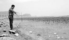 成长中的一次失败