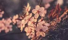 人们真的懂得共享吗