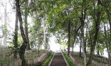 捡拾历史的碎片