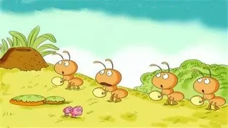 蚂蚁怎么回家？