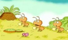 蚂蚁是怎样回家的