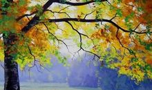 尊重它们的生命