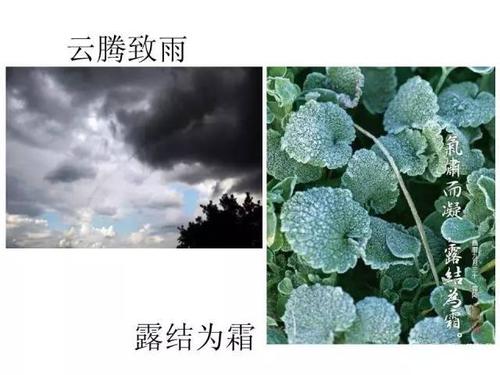 雨线