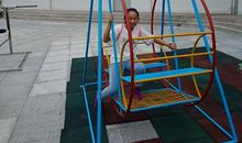 在阳光下自由飞翔