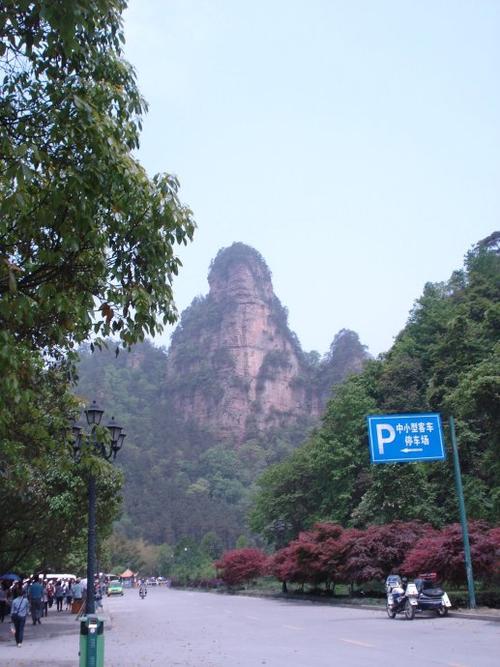 美丽，金皮西