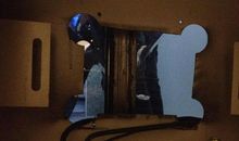 双面镜——“共享”