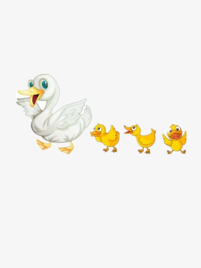骄傲的鸭子妈妈